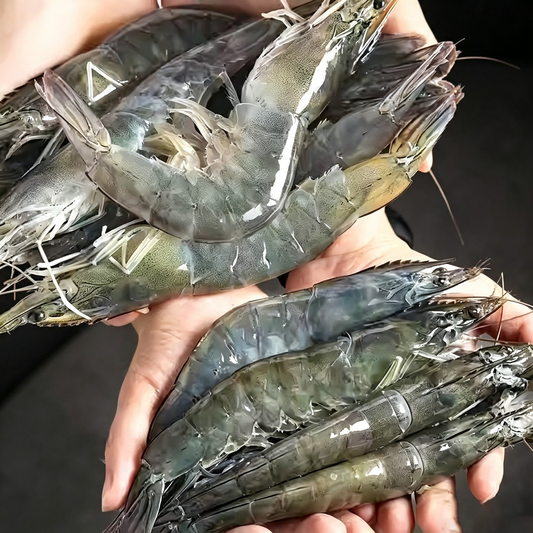 Fresh Caught Whole Unpeeled Prawns