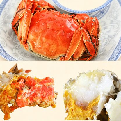 Fresh Live Chinese Mitten Crab