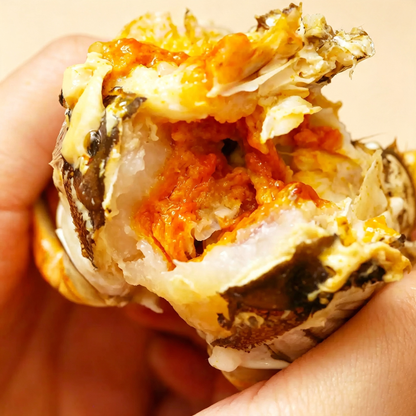 Fresh Live Chinese Mitten Crab