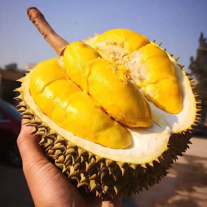 Fresh Whole Musang King Durian