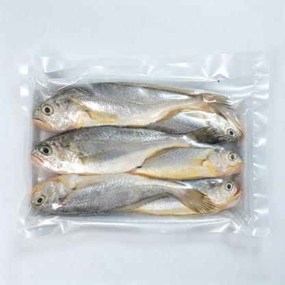 Fresh Wild Caught Yellow Fish