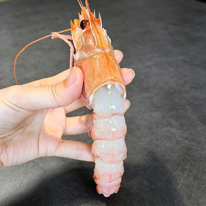 Wild Caught Scampi