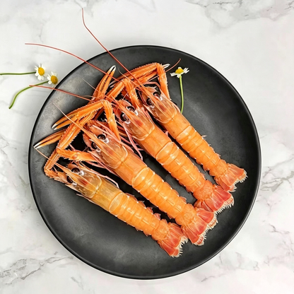 Wild Caught Scampi